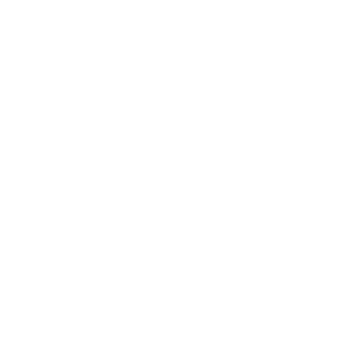 Rnr Logo White